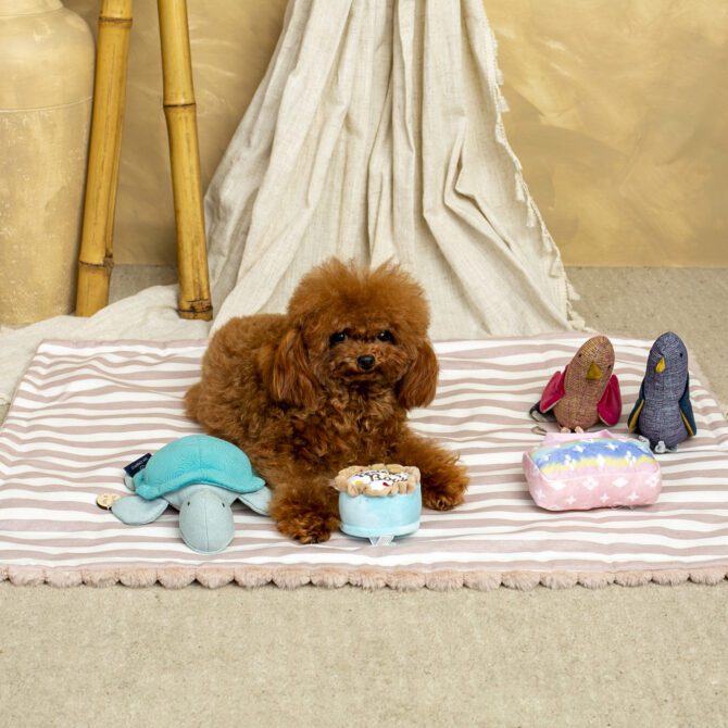 Sillón Salvaterra Orvane Rosa Homologado Para El Coche - Imagen 7