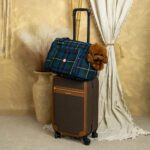 Bolso 2 en 1 Escoces Azul de Salvaterra de Magos - Imagen 7