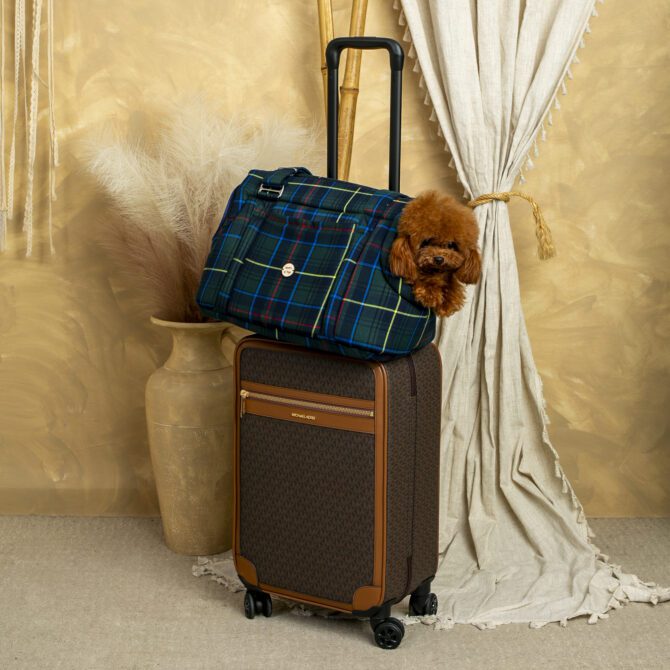 Bolso 2 en 1 Escoces Azul de Salvaterra de Magos - Imagen 7