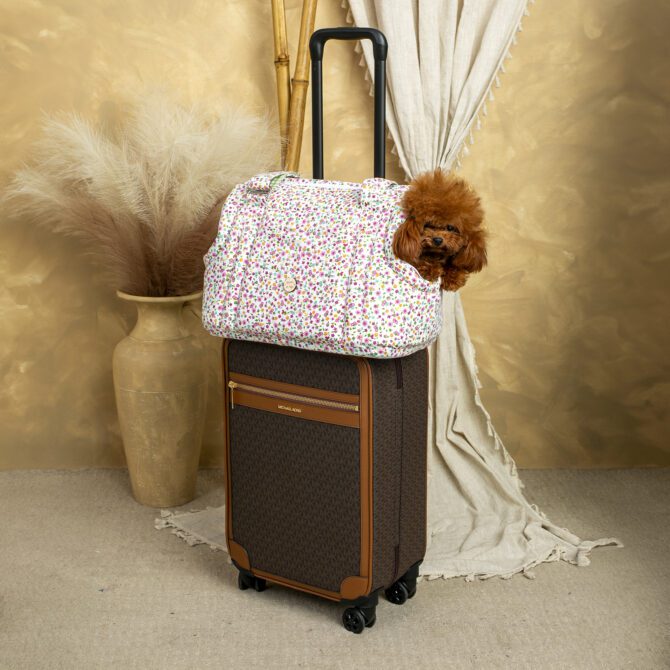 Bolso 2 en 1 Tobii de Salvaterra de Magos - Imagen 10