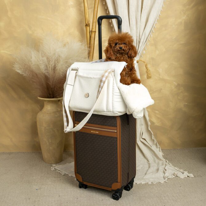 Bolso 2 en 1 White Antimanchas de Salvaterra de Magos - Imagen 7