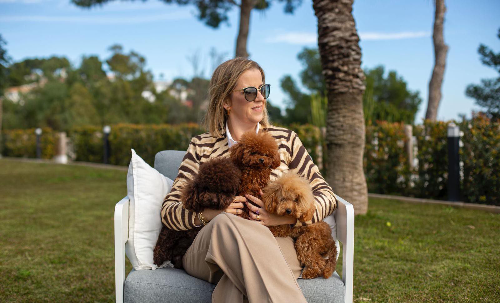 banner salvaterra de magos caniches banner salvaterra de magos caniches