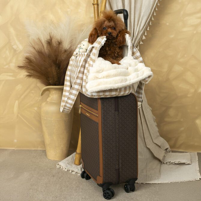 Bolso 2 en 1 Mavel de Salvaterra de Magos - Imagen 7