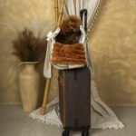 Bolso 2 en 1 Escandinavo de Salvaterra de Magos - Imagen 5