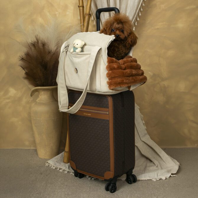 Bolso 2 en 1 Escandinavo de Salvaterra de Magos - Imagen 6